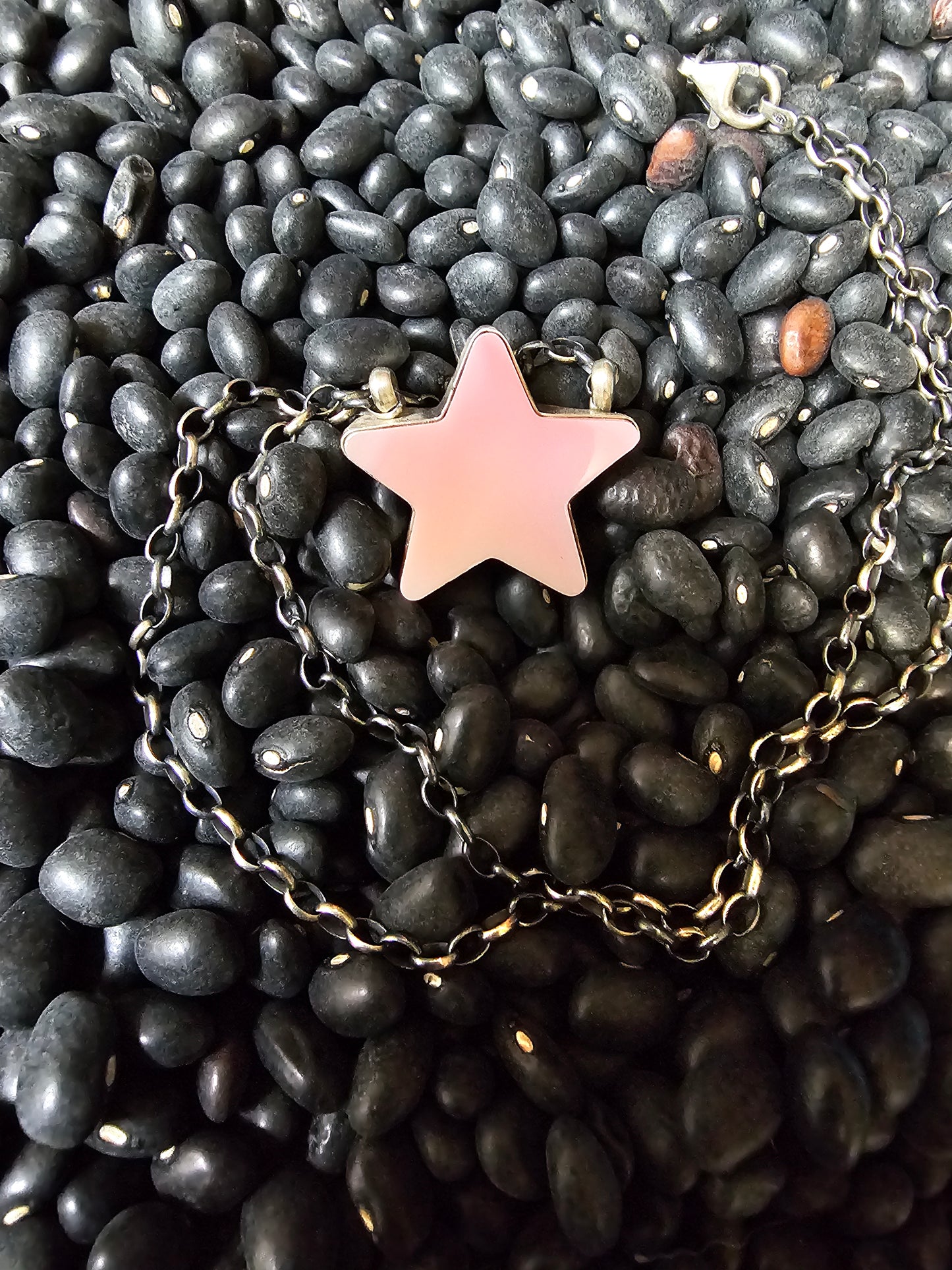 Native American Signed Pink Conch Star Necklace Donovan Skeets Sterling Silver Navajo
