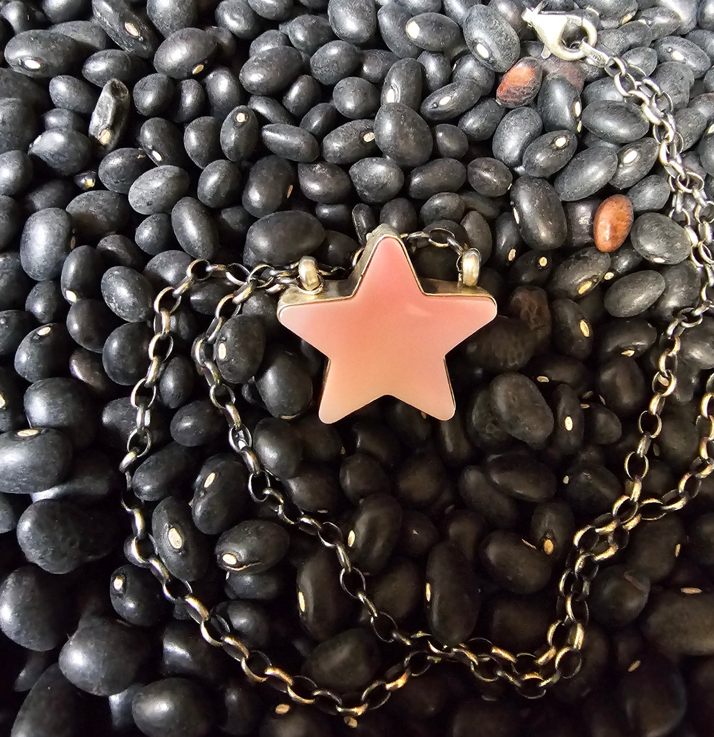Native American Signed Pink Conch Star Necklace Donovan Skeets Sterling Silver Navajo